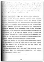 1994 Page 140